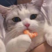 徐博325的个人资料头像