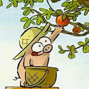 Gop的个人资料头像