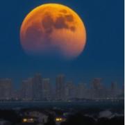 胡名琼的个人资料头像