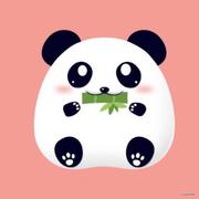 美丫丫的个人资料头像