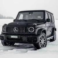 奋发有为雪梨tWO头像