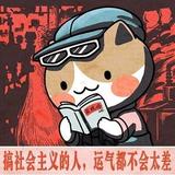 FelipeLin头像