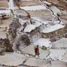 王豆的个人资料头像