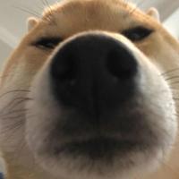 用户1786669754119头像