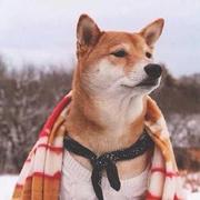 iniFeng的个人资料头像