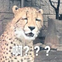 凯迪拉克折磨人头像