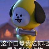 口琴十块钱买的头像
