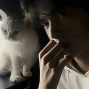 PeterLian的个人资料头像