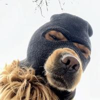 暴风雨在哪里头像