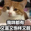 啊吃菠萝蜜呀的个人资料头像