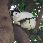 黄滨的个人资料头像