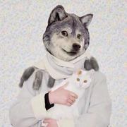 JadeDragon的个人资料头像