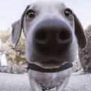 L浪ang淘沙的个人资料头像