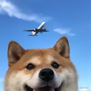 lonerhan的个人资料头像