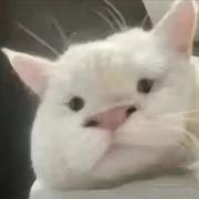 用户26879567911的个人资料头像