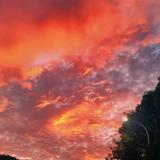 向可爱低头61头像