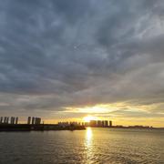 篮球Lee的个人资料头像