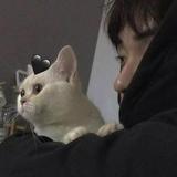 南尘精彩电视头像