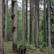 random107的个人资料头像