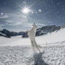 仰望星空君71793的个人资料头像