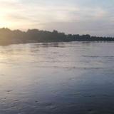 沙漠大胡杨1头像