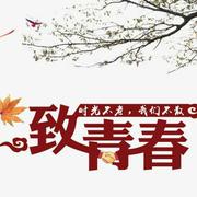 ytweb的个人资料头像