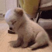 阿涛8266的个人资料头像