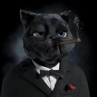 温柔饼干Fh头像