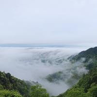 黄豆绿豆红小豆头像