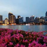 乐天派豆花c4q头像