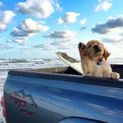 富士康保安的个人资料头像