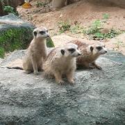 狂风345的个人资料头像