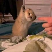 smile532的个人资料头像