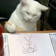 老帽的个人资料头像