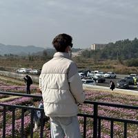 烂大街的宝马5系车主头像
