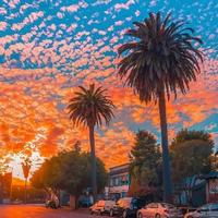 机智的漂流瓶DYS头像