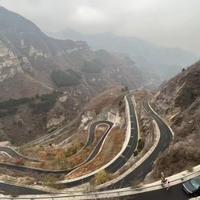 chengtoujujiao头像