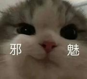 前端用户_的个人资料头像