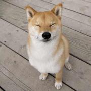 南坞觉的个人资料头像