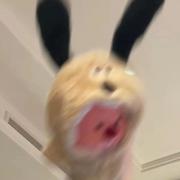 TheShy的个人资料头像