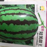 上善若水头像
