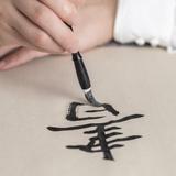 张玺15头像