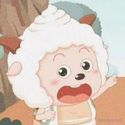 不是浙江的温洲的个人资料头像