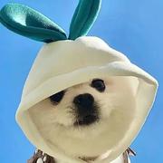 灵诩_cl的个人资料头像