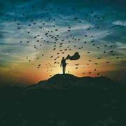 楼兰天晓的个人资料头像