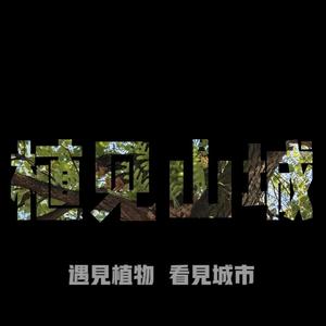 植见山城头像