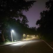 gate的个人资料头像