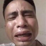 句句不离车头像