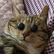 端木497的个人资料头像