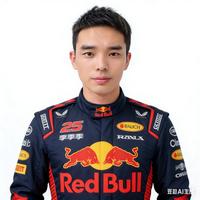 自由的微风sOe头像